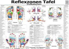 Cover: 9783939378310 | Reflexzonen Tafel. Indikationen. DIN A3 | Stück | Deutsch | 2010