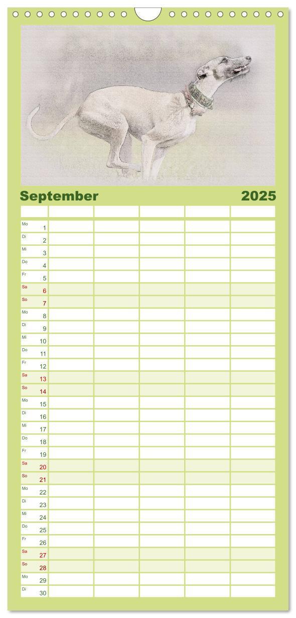 Bild: 9783457121146 | Familienplaner 2025 - Whippet 2025 mit 5 Spalten (Wandkalender, 21...