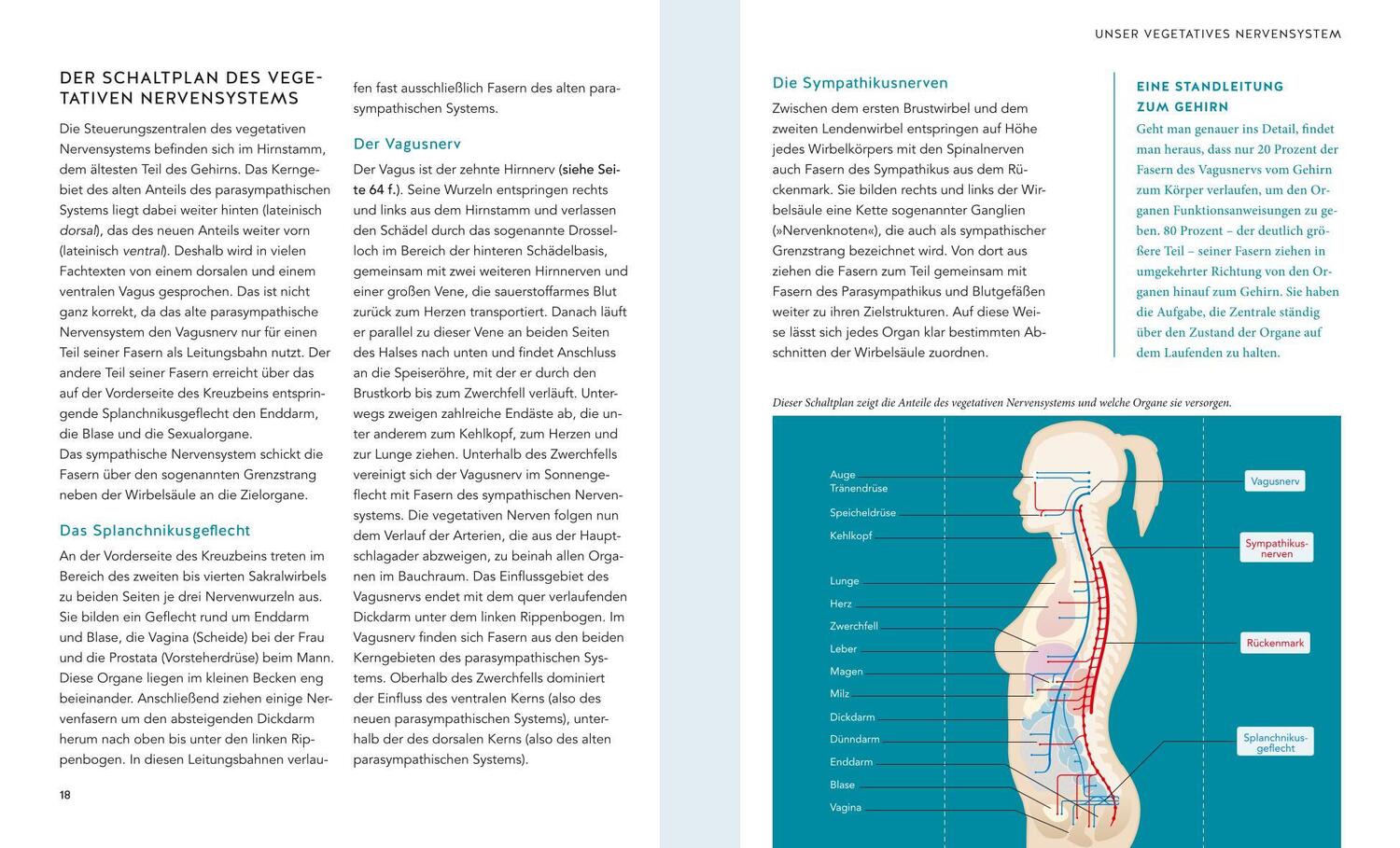 Bild: 9783833878794 | Das Vagus-Training | Ellen Fischer | Taschenbuch | 128 S. | Deutsch