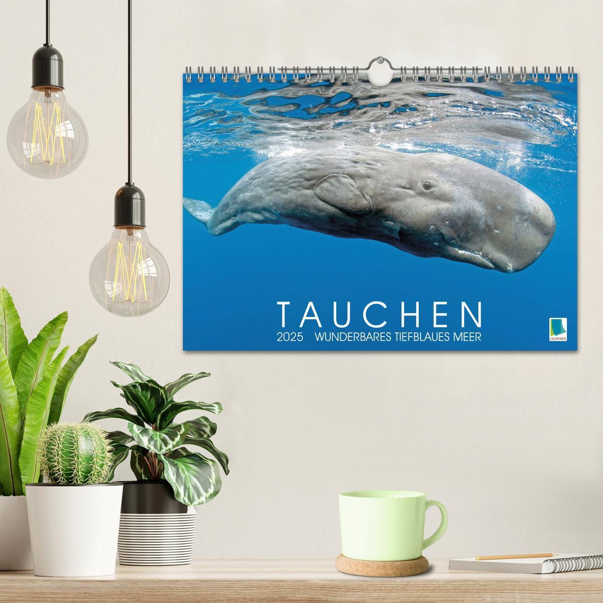 Bild: 9783383778124 | Tauchen: Wunderbares tiefblaues Meer (Wandkalender 2025 DIN A4...