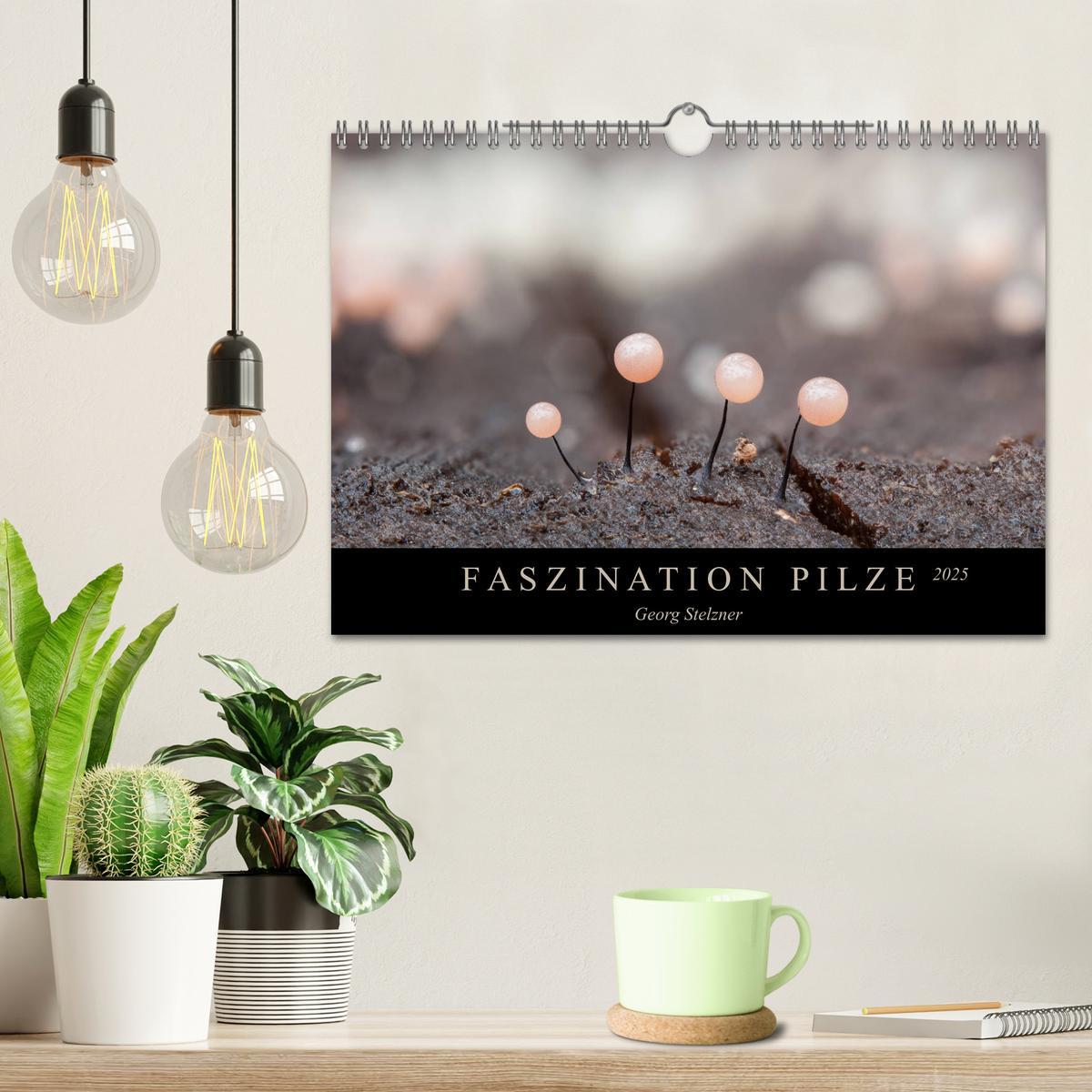 Bild: 9783435393626 | FASZINATION PILZE 2025 (Wandkalender 2025 DIN A4 quer), CALVENDO...