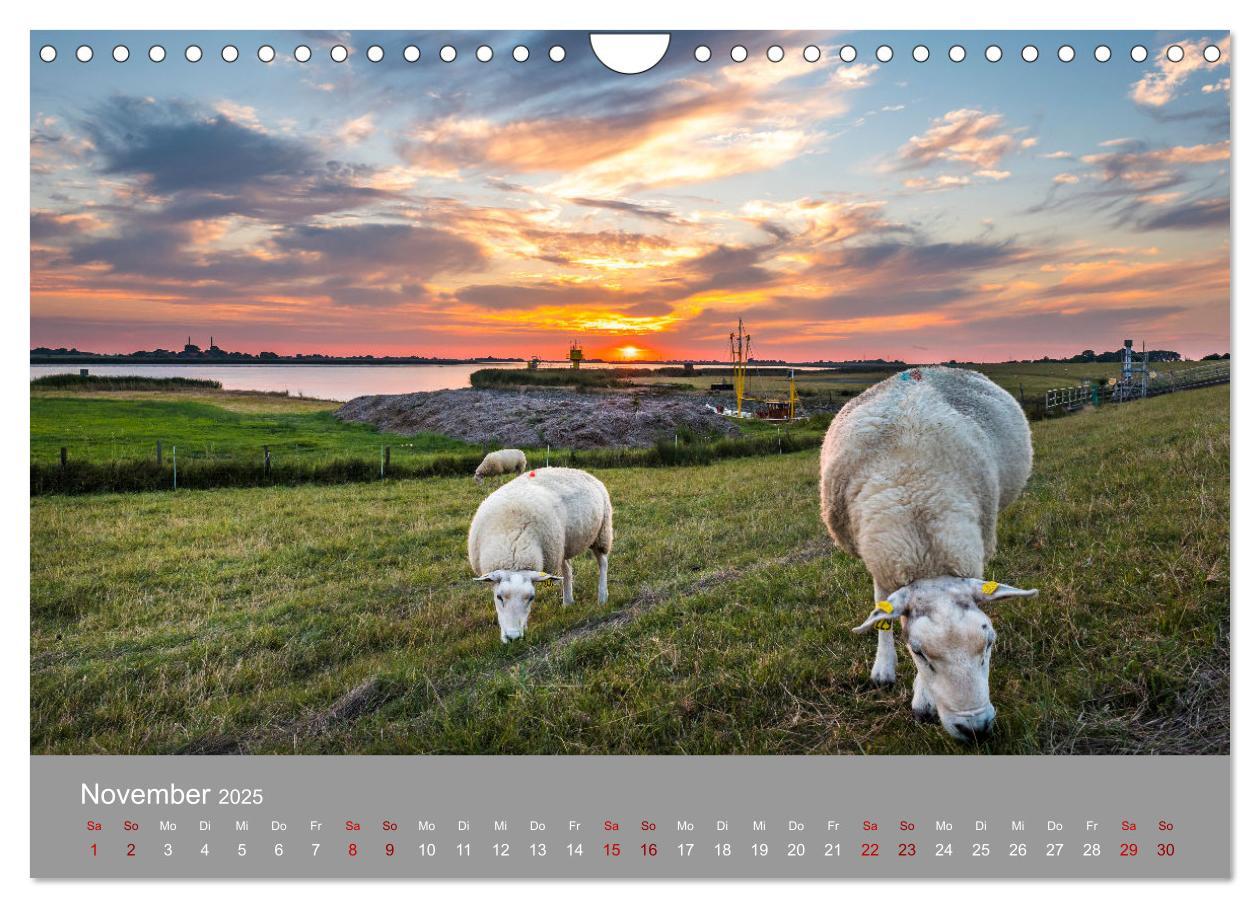 Bild: 9783435019427 | Ostfrieslandmomente 2025 (Wandkalender 2025 DIN A4 quer), CALVENDO...