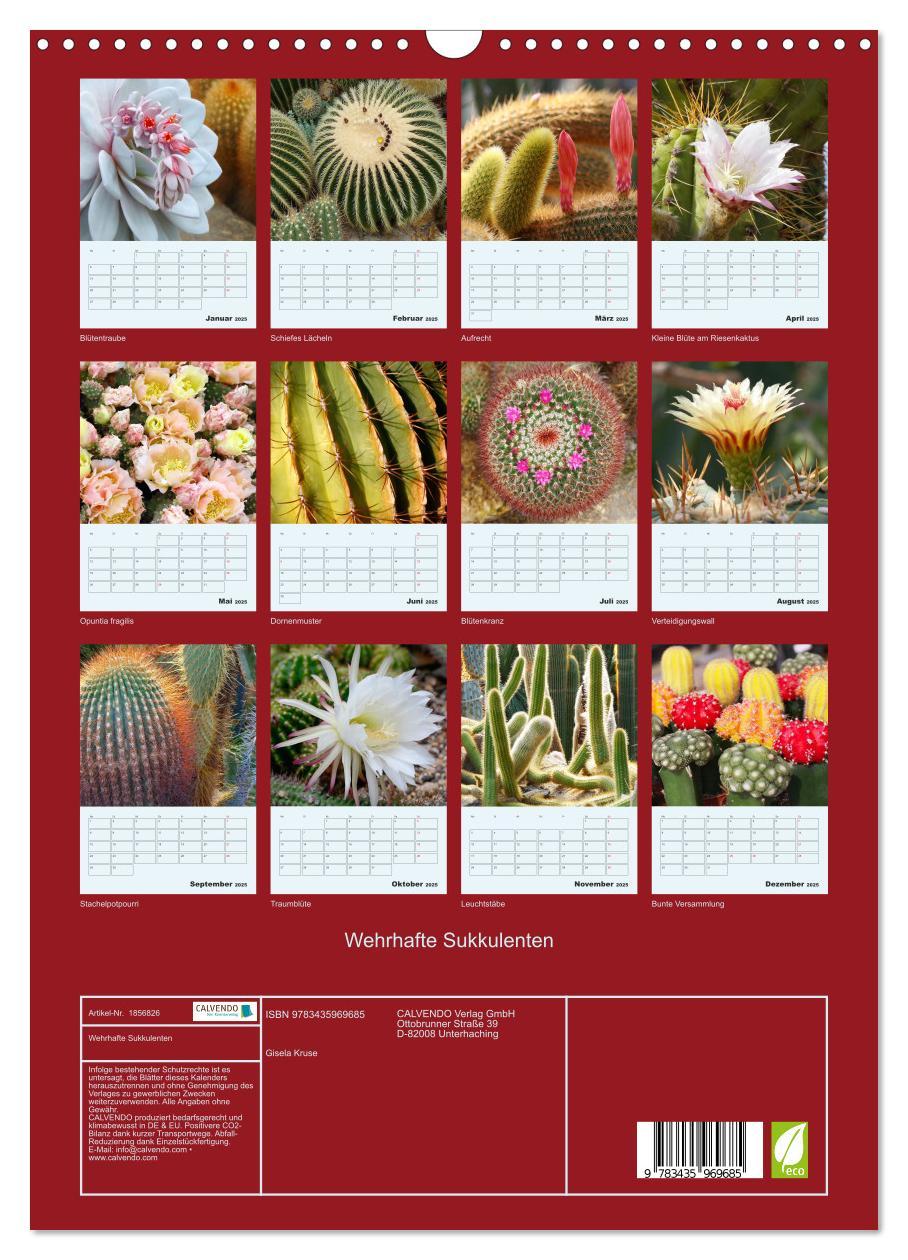 Bild: 9783435969685 | Wehrhafte Sukkulenten (Wandkalender 2025 DIN A3 hoch), CALVENDO...