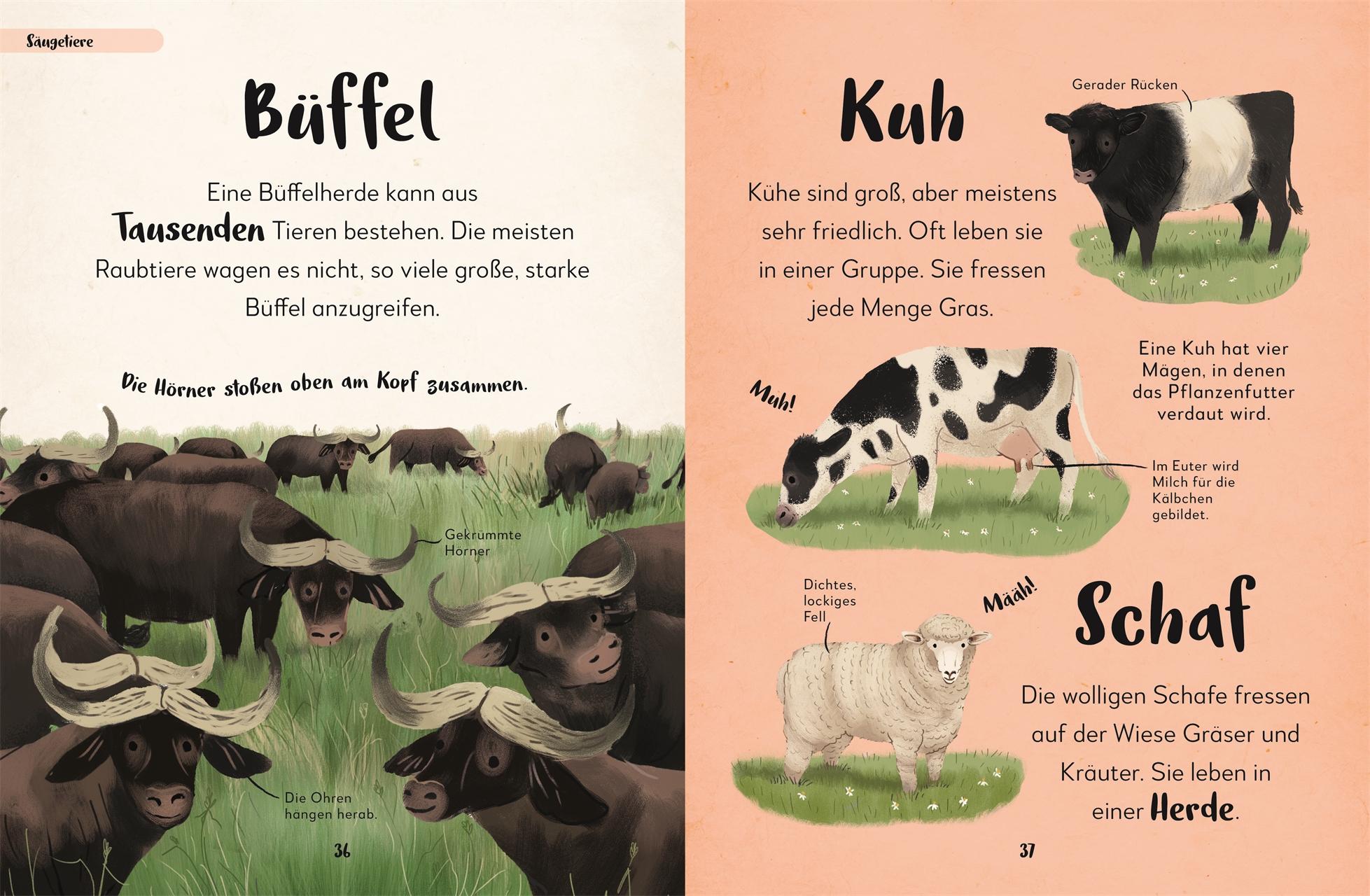 Bild: 9783831045655 | Mein liebstes Buch der Tiere | DK Verlag - Kids | Buch | 144 S. | 2022