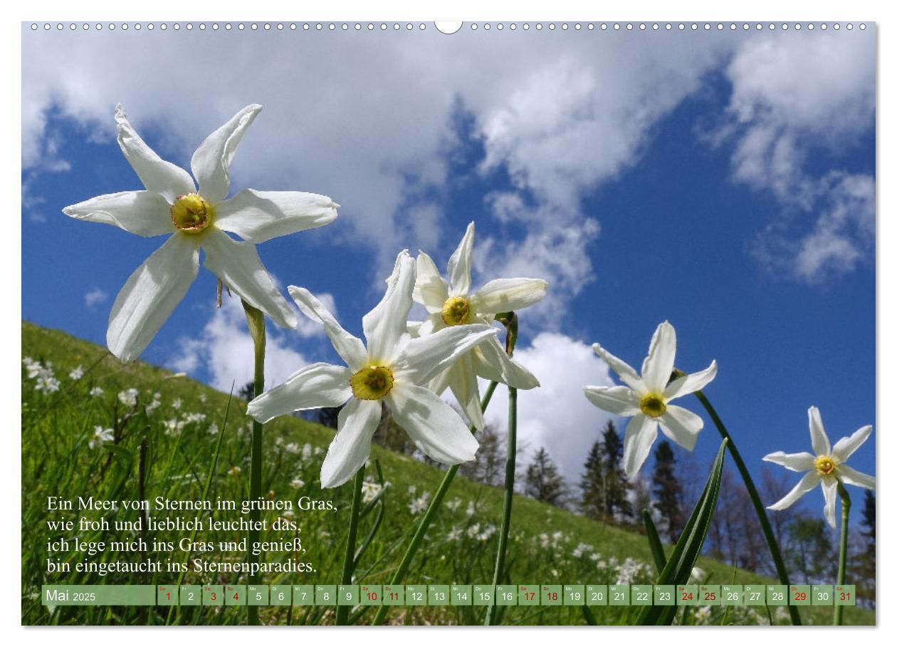 Bild: 9783383911682 | Naturschönheiten und Poesie in Kärnten und Umgebung (Wandkalender...