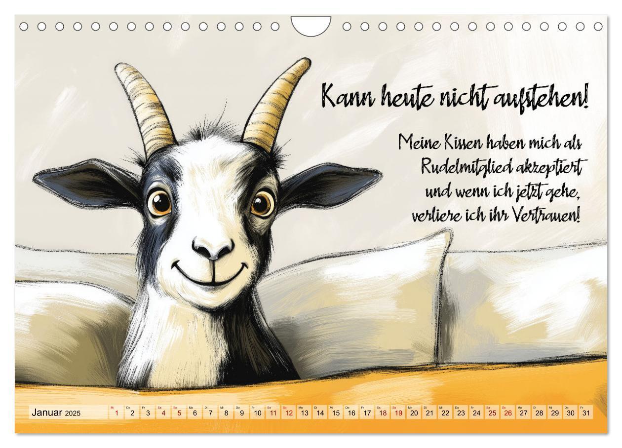 Bild: 9783457186053 | Ziegen, süß aber psycho (Wandkalender 2025 DIN A4 quer), CALVENDO...