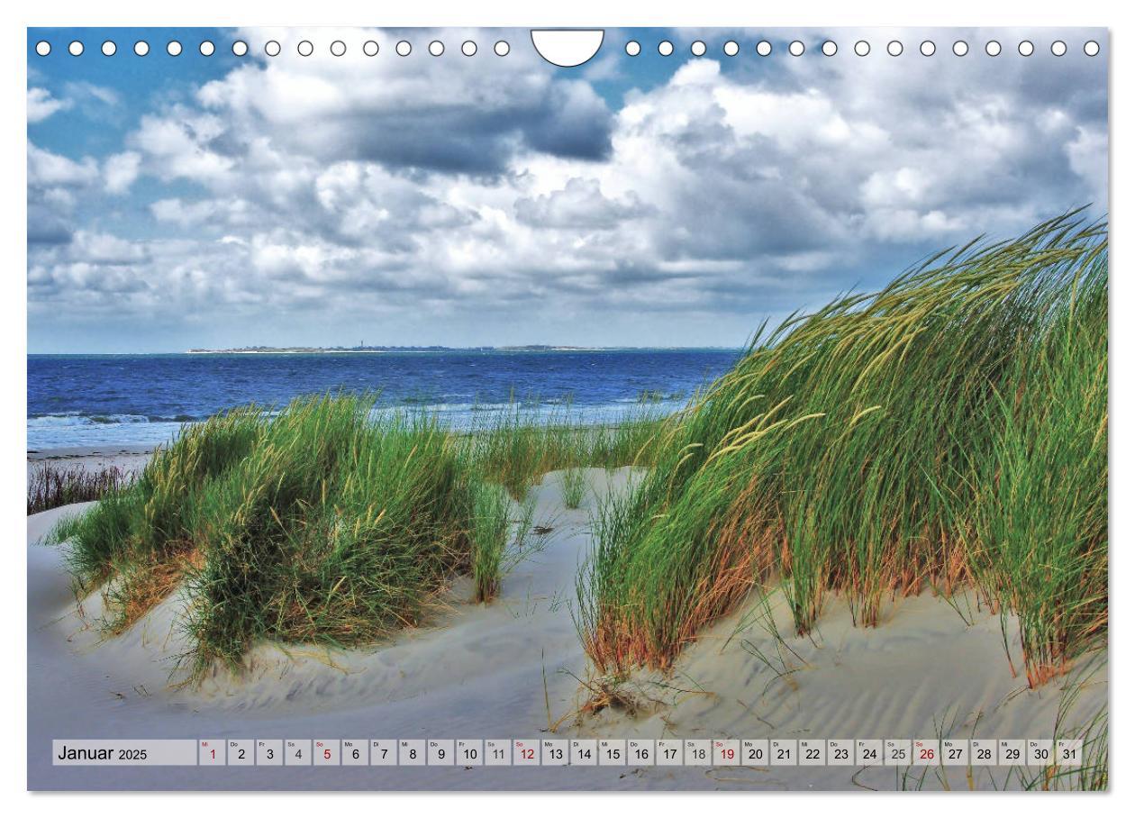 Bild: 9783435418510 | Typisch Amrum! (Wandkalender 2025 DIN A4 quer), CALVENDO...