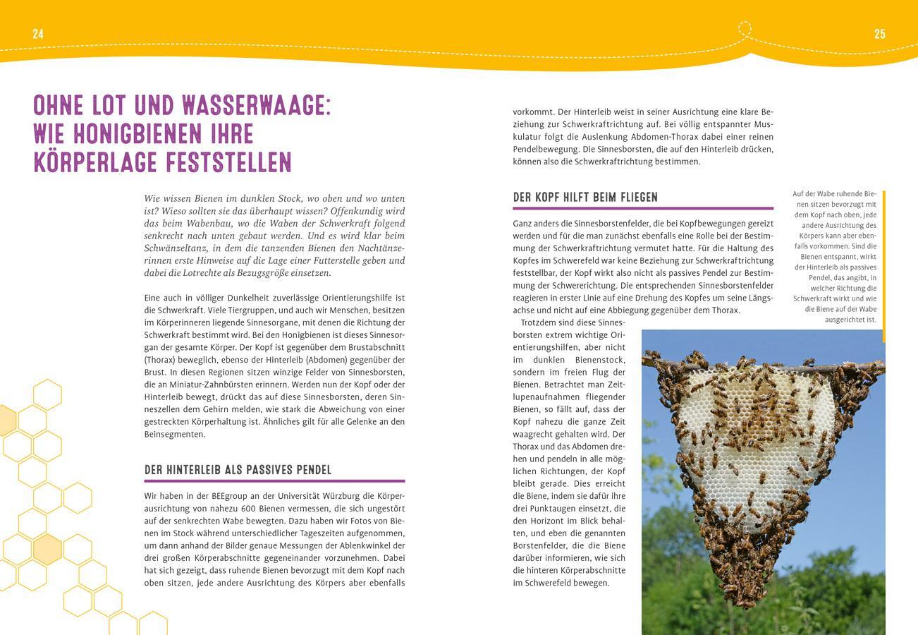 Bild: 9783818620837 | Auch Bienen haben Schweißfüße | Jürgen Tautz | Buch | 144 S. | Deutsch