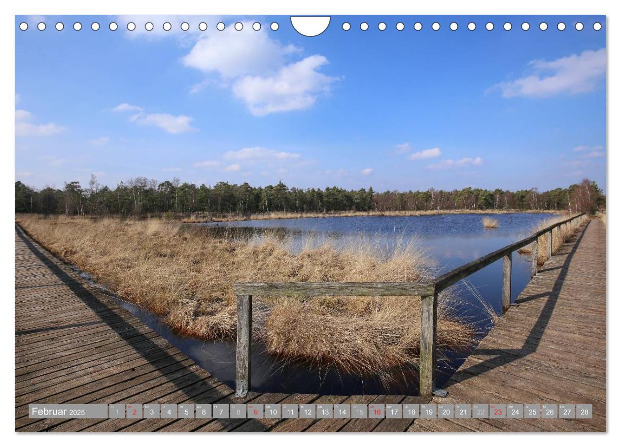 Bild: 9783435465200 | Pietzmoor - ein Hochmoor in der Lüneburger Heide (Wandkalender 2025...