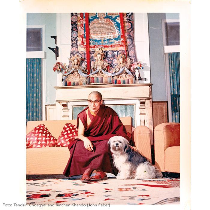 Bild: 9783458179030 | Dalai Lama | Eine illustrierte Biografie | Tenzin Geyche Tethong