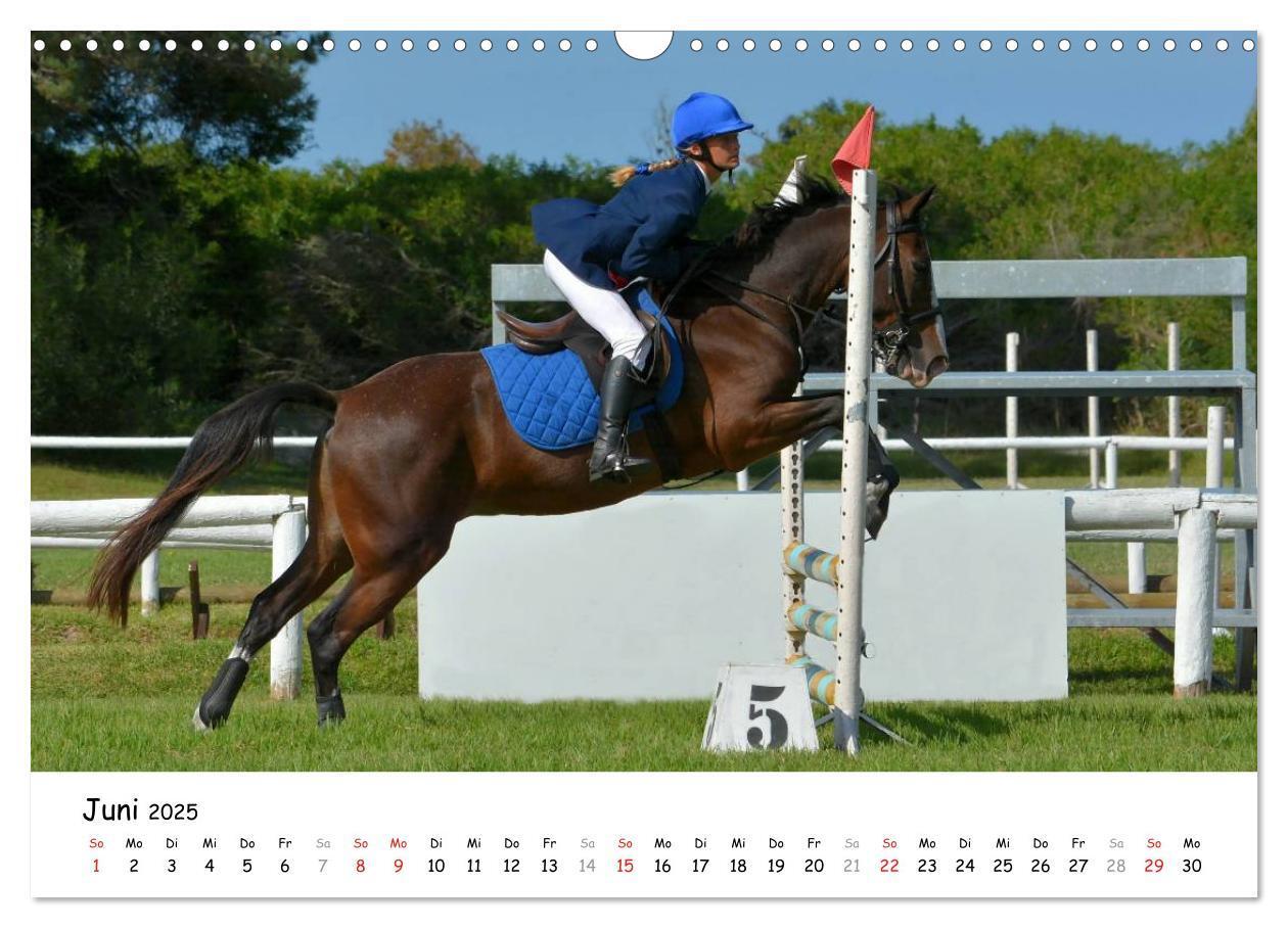 Bild: 9783435606481 | Pony Springreiten (Wandkalender 2025 DIN A3 quer), CALVENDO...