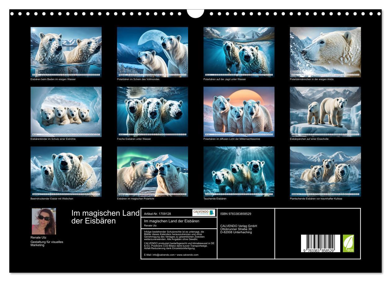 Bild: 9783383858529 | Im magischen Land der Eisbären (Wandkalender 2025 DIN A3 quer),...