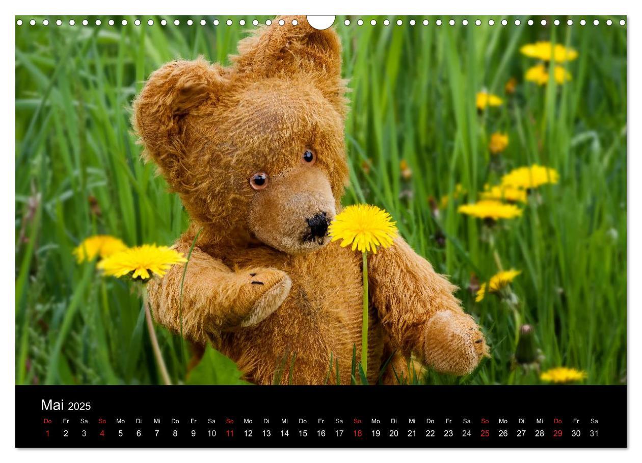 Bild: 9783435674084 | Teddy Basse, Fortsetzung... (Wandkalender 2025 DIN A3 quer),...