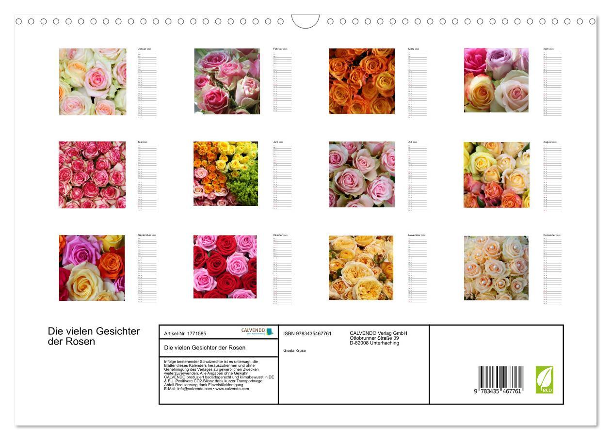 Bild: 9783435467761 | Die vielen Gesichter der Rosen (Wandkalender 2025 DIN A3 quer),...