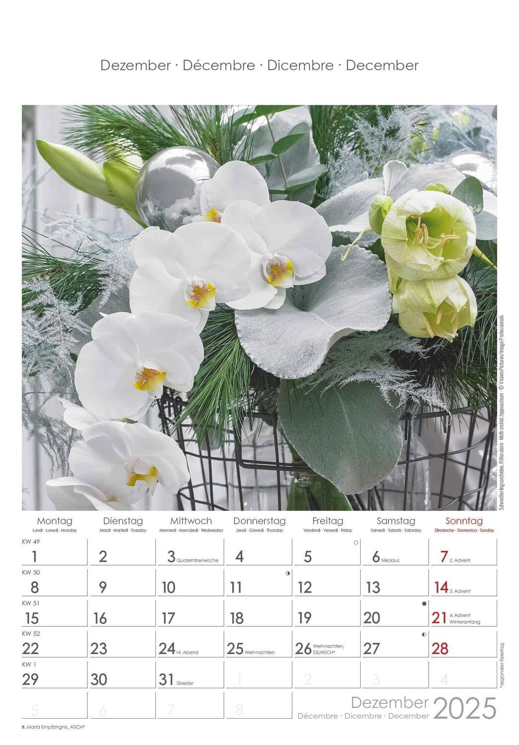 Bild: 4251732341008 | Blumen 2025 - Bildkalender 23,7x34 cm - Kalender mit Platz für...