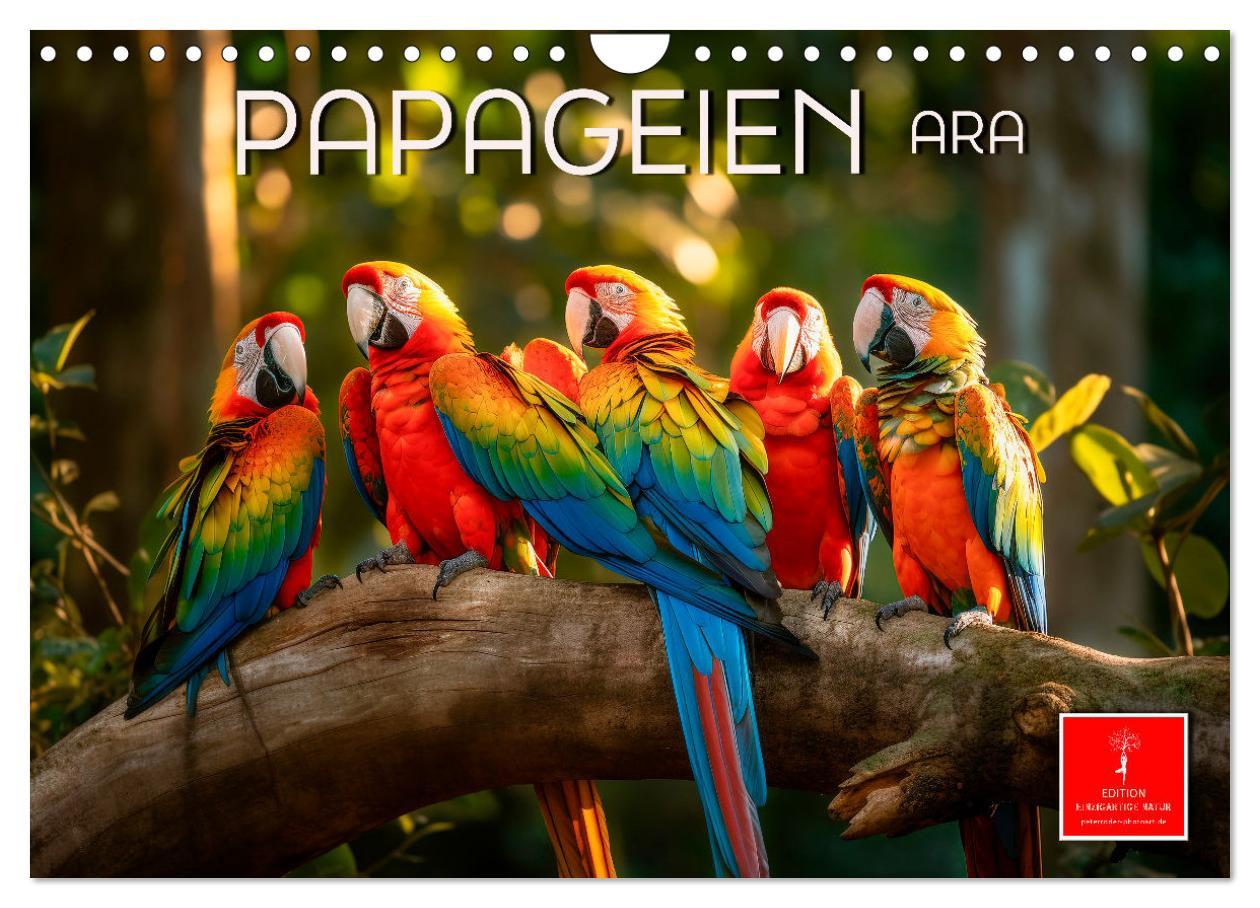 Cover: 9783383867941 | Papageien - Ara (Wandkalender 2025 DIN A4 quer), CALVENDO...