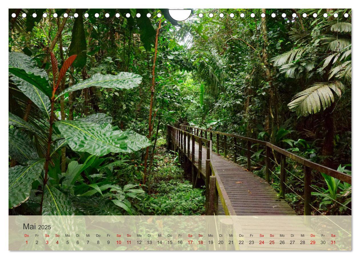 Bild: 9783383837029 | Bekanntes und Unbekanntes Costa Rica (Wandkalender 2025 DIN A4...