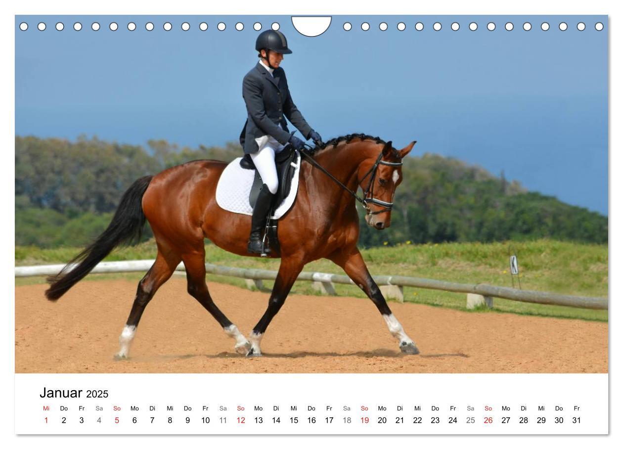 Bild: 9783435618507 | Vielseitigkeitsreiten (Wandkalender 2025 DIN A4 quer), CALVENDO...