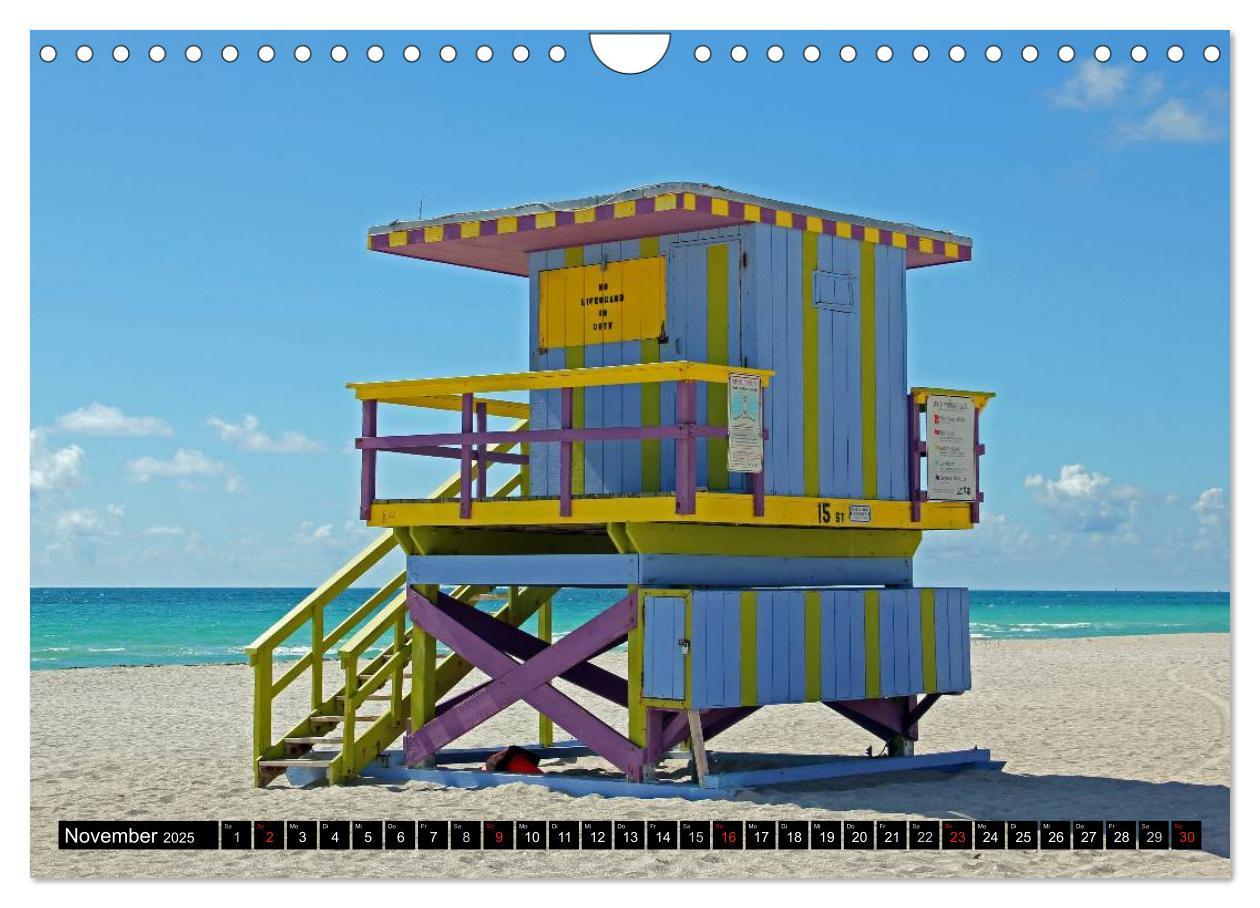 Bild: 9783435837533 | MIAMI (Wandkalender 2025 DIN A4 quer), CALVENDO Monatskalender | Damm