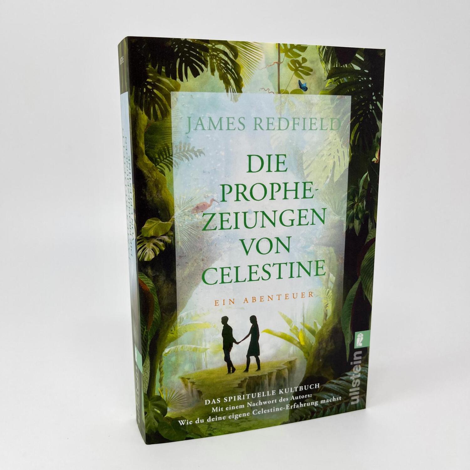 Bild: 9783548067957 | Die Prophezeiungen von Celestine | James Redfield | Taschenbuch | 2023