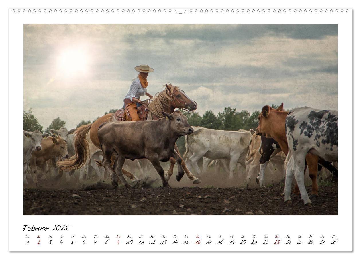 Bild: 9783435442676 | Mecklenburgs Wilder Westen (hochwertiger Premium Wandkalender 2025...