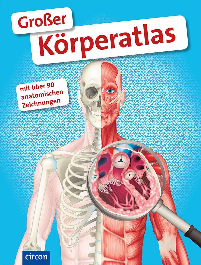 Cover: 9783817496495 | Großer Körperatlas | Eine faszinierende Reise durch unseren Körper