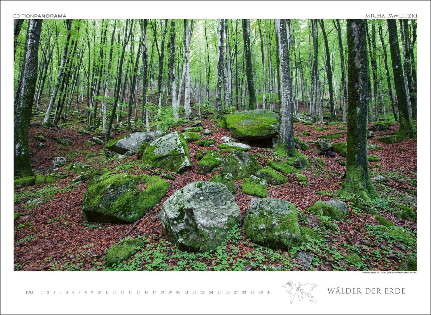 Bild: 9783898236218 | WÄLDER DER ERDE | Micha Pawlitzki | Kalender | XIII | Deutsch | 2024