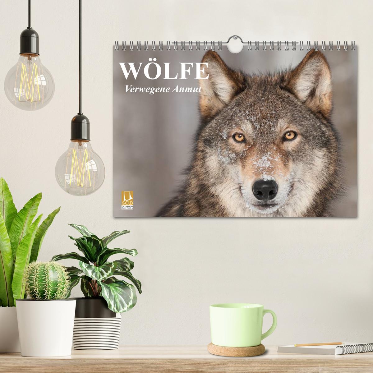 Bild: 9783435737109 | Wölfe. Verwegene Anmut (Wandkalender 2025 DIN A4 quer), CALVENDO...