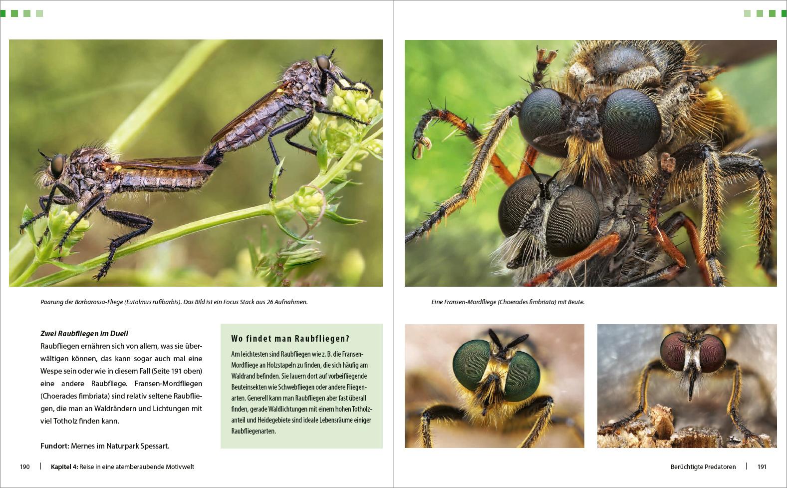 Bild: 9783832803445 | Extreme Wildlife-Makrofotografie | Alexander Mett | Buch | 288 S.