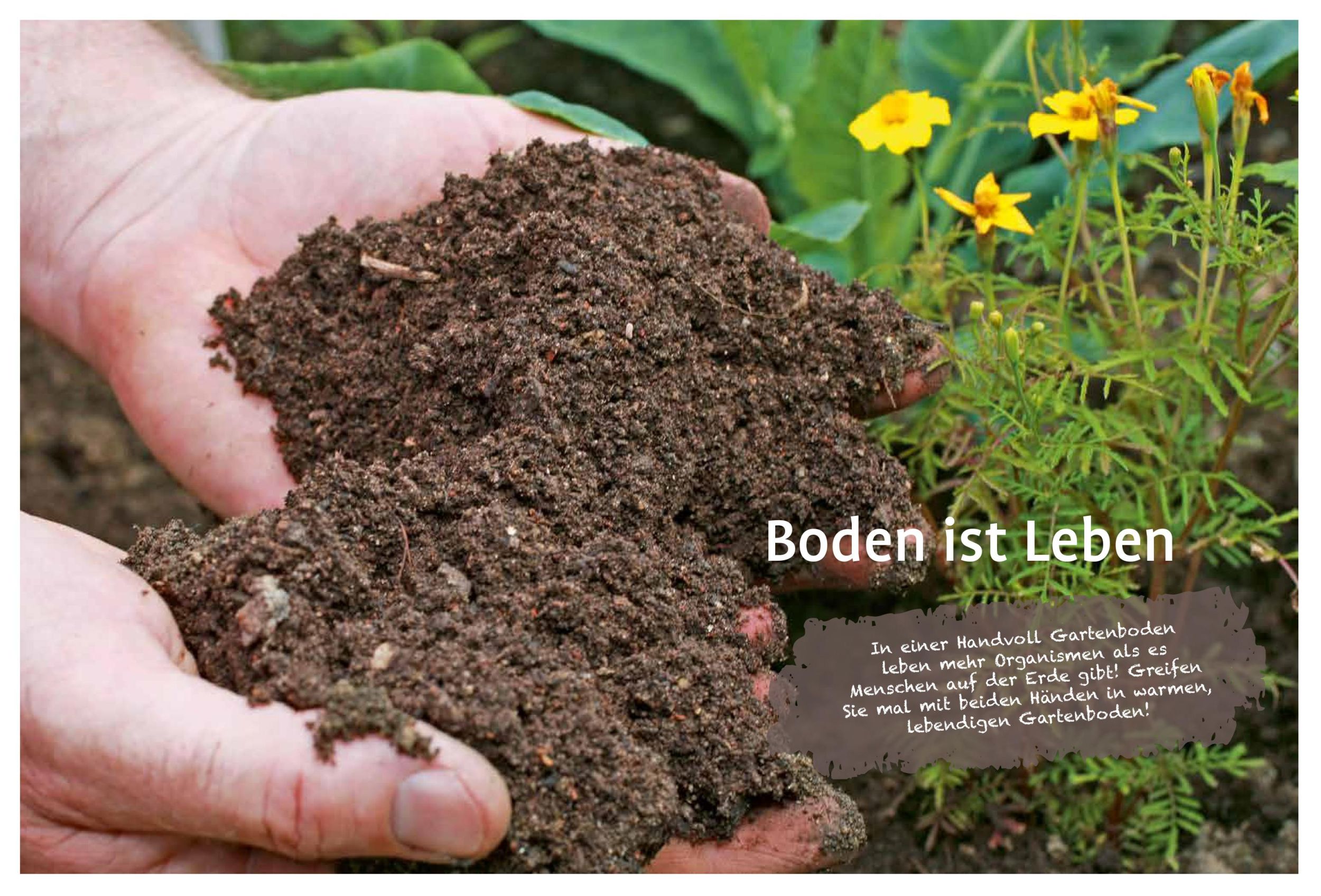 Bild: 9783818615024 | Naturgarten ganz einfach | Heike Boomgaarden (u. a.) | Buch | 144 S.