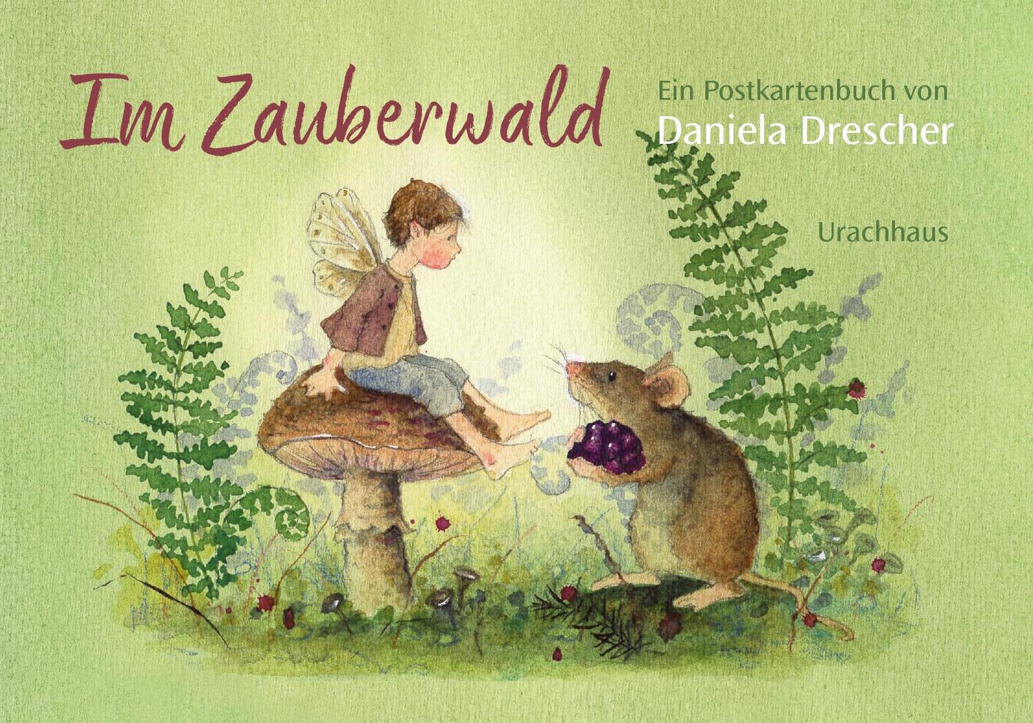 Cover: 9783825154097 | Postkartenbuch 'Im Zauberwald' | Daniela Drescher | Taschenbuch | 2024