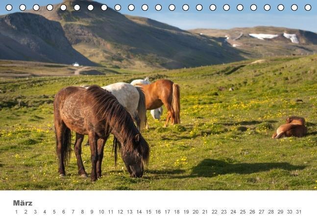 Bild: 9783664659449 | Islandpferde: Gefährten der Wikinger (Tischkalender immerwährend...