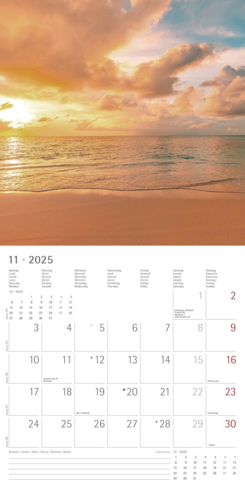 Bild: 4251732340902 | Alpha Edition - Sunny Moments 2025 Broschürenkalender, 30x30cm,...