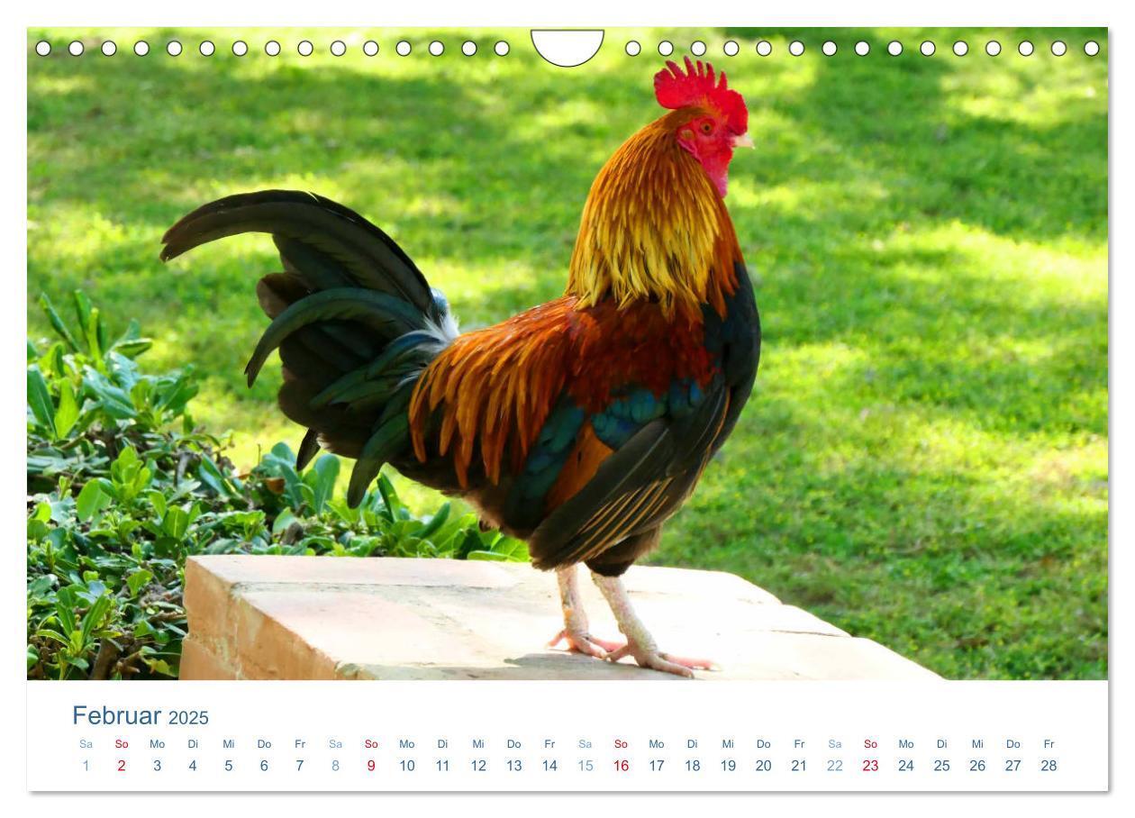 Bild: 9783435494507 | Tierisches Leben auf dem Bauernhof 2025 (Wandkalender 2025 DIN A4...