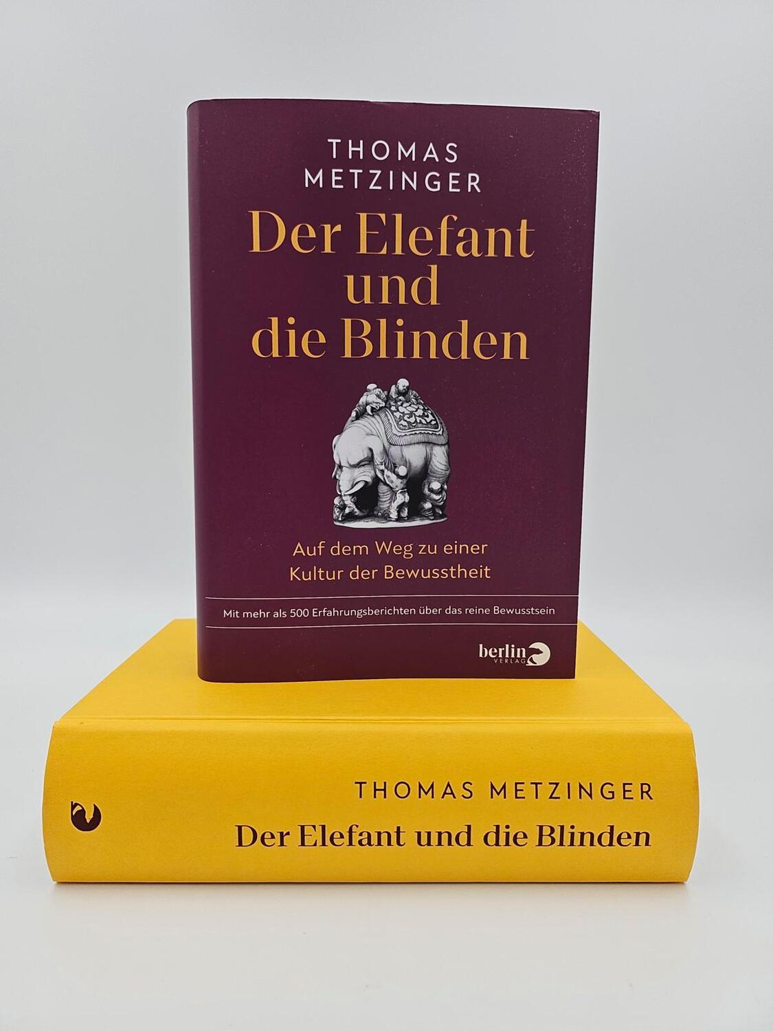 Bild: 9783827014870 | Der Elefant und die Blinden | Thomas Metzinger | Buch | 960 S. | 2023