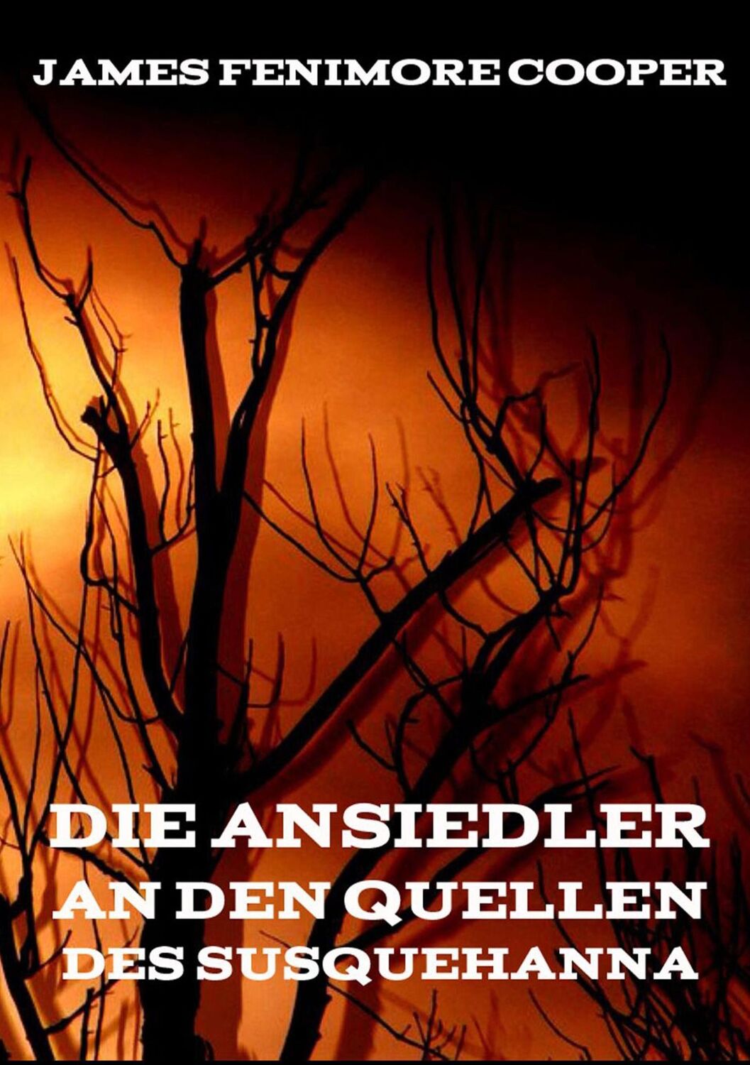 Cover: 9783849686888 | Die Ansiedler an den Quellen des Susquehanna | James Fenimore Cooper