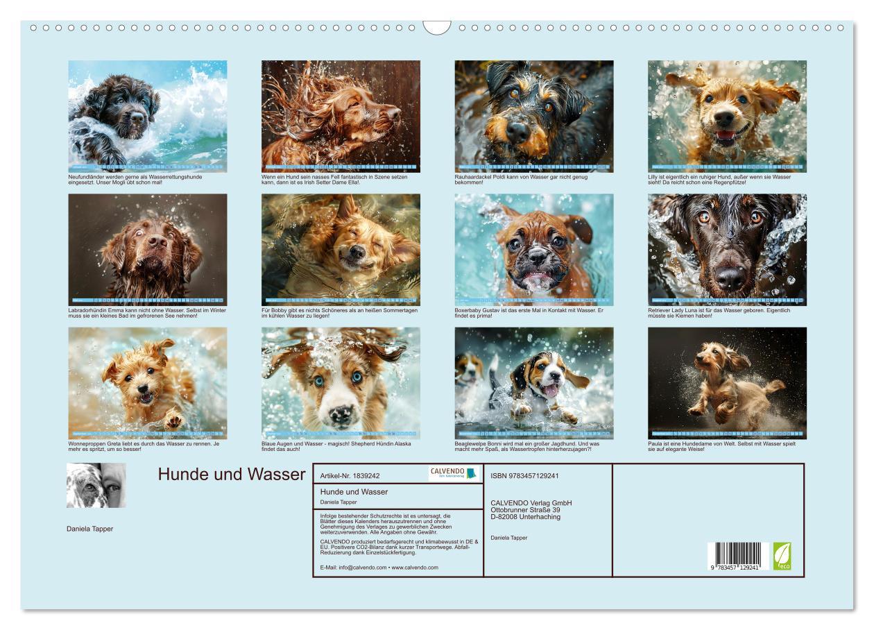 Bild: 9783457129241 | Hunde und Wasser (Wandkalender 2025 DIN A2 quer), CALVENDO...