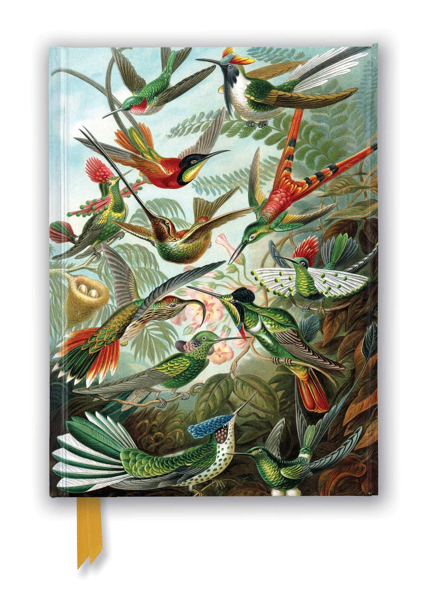 Cover: 9781839648953 | Premium Notizbuch DIN A5: Ernst Haeckel, Kolibris | Publishing | 2022