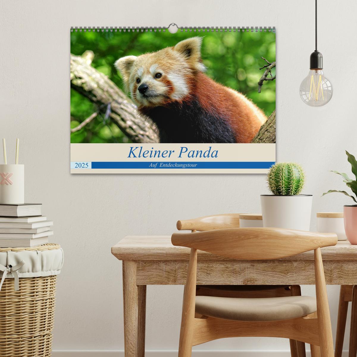 Bild: 9783435357192 | Kleiner Panda auf Entdeckungstour (Wandkalender 2025 DIN A3 quer),...