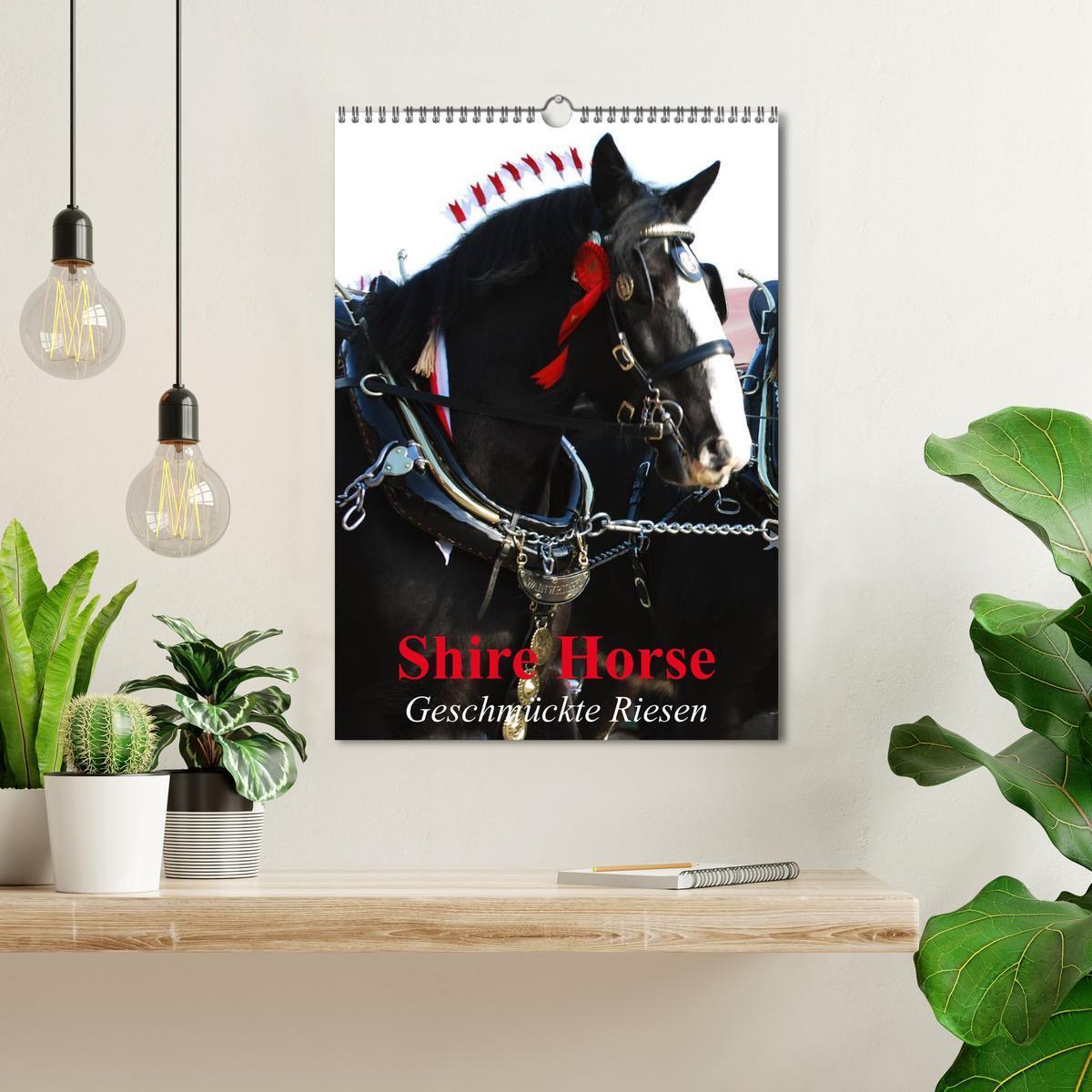 Bild: 9783457069646 | Shire Horse - Geschmückte Riesen (Wandkalender 2025 DIN A3 hoch),...