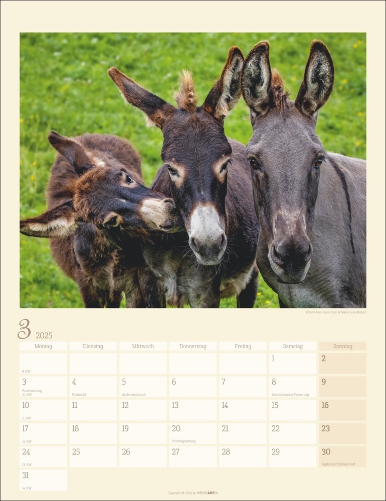 Bild: 9783839900451 | Esel Kalender 2025 | Marie-Luce Hubert (u. a.) | Kalender | 14 S.