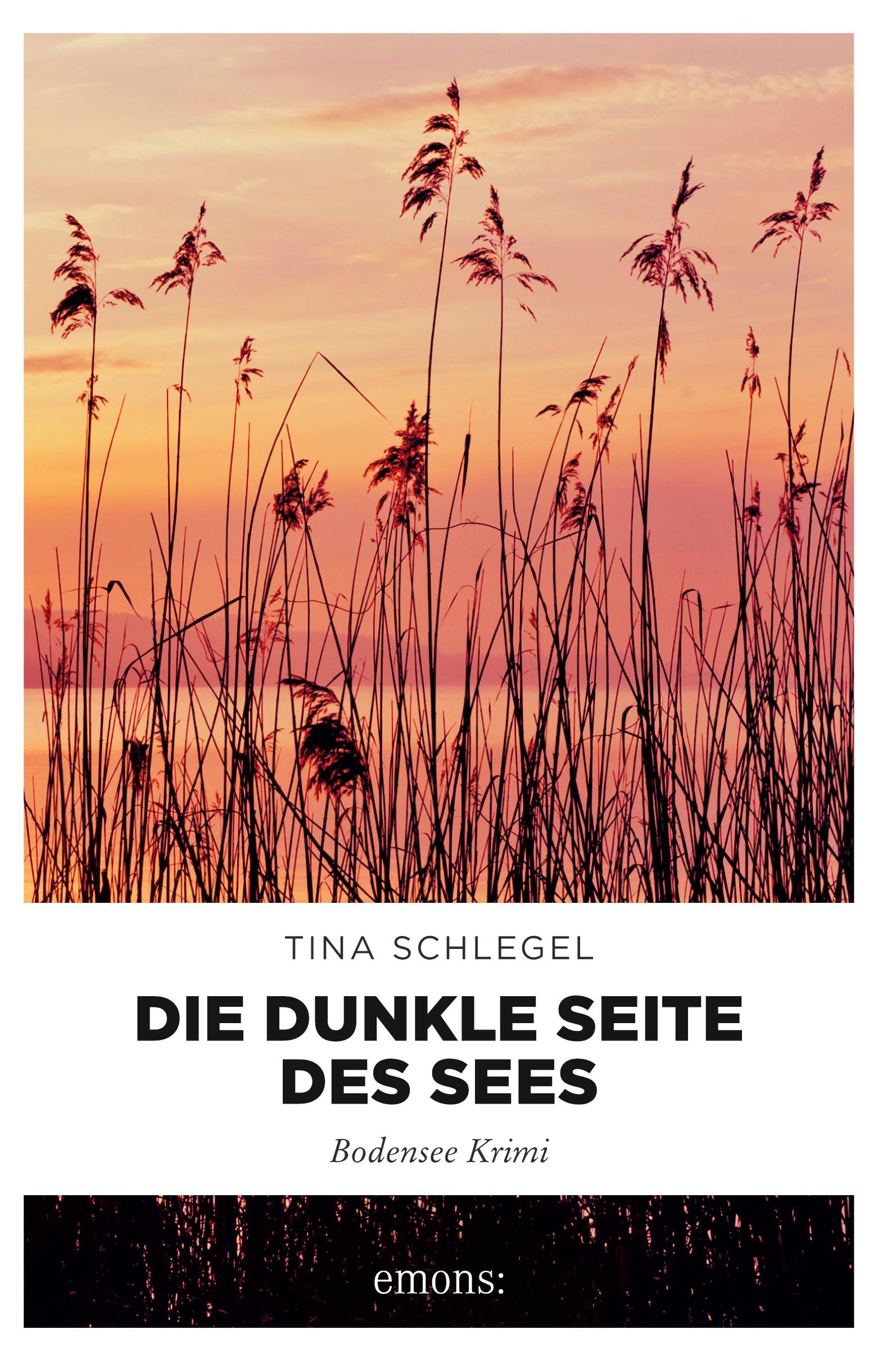 Cover: 9783740800789 | Die dunkle Seite des Sees | Bodensee Krimi | Tina Schlegel | Buch