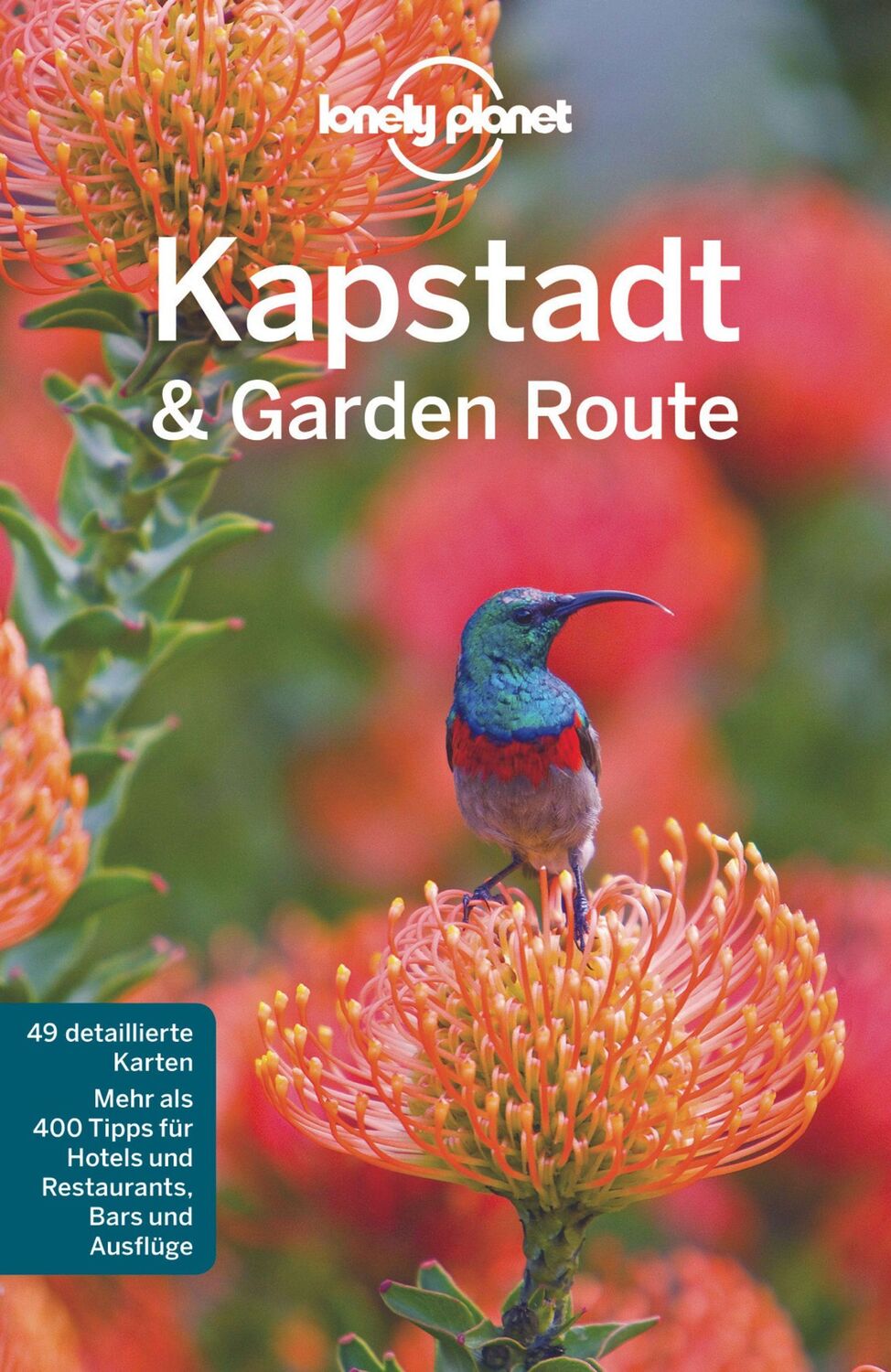 Cover: 9783829744607 | Lonely Planet Reiseführer Kapstadt &amp; die Garden Route | Taschenbuch