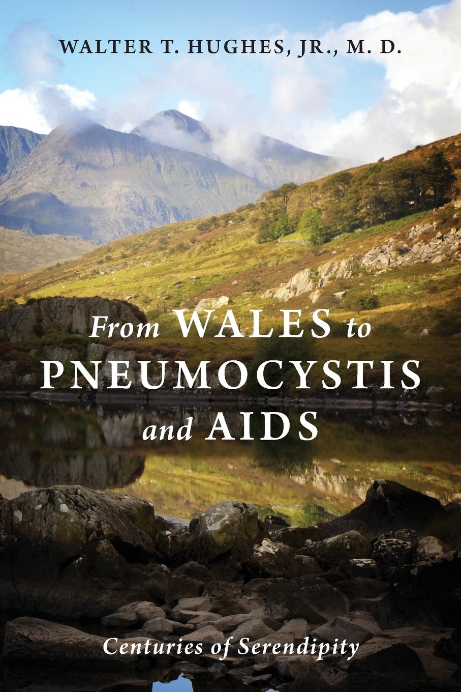 Cover: 9781478753759 | From Wales to Pneumocystis and AIDS | Centuries of Serendipity | Buch