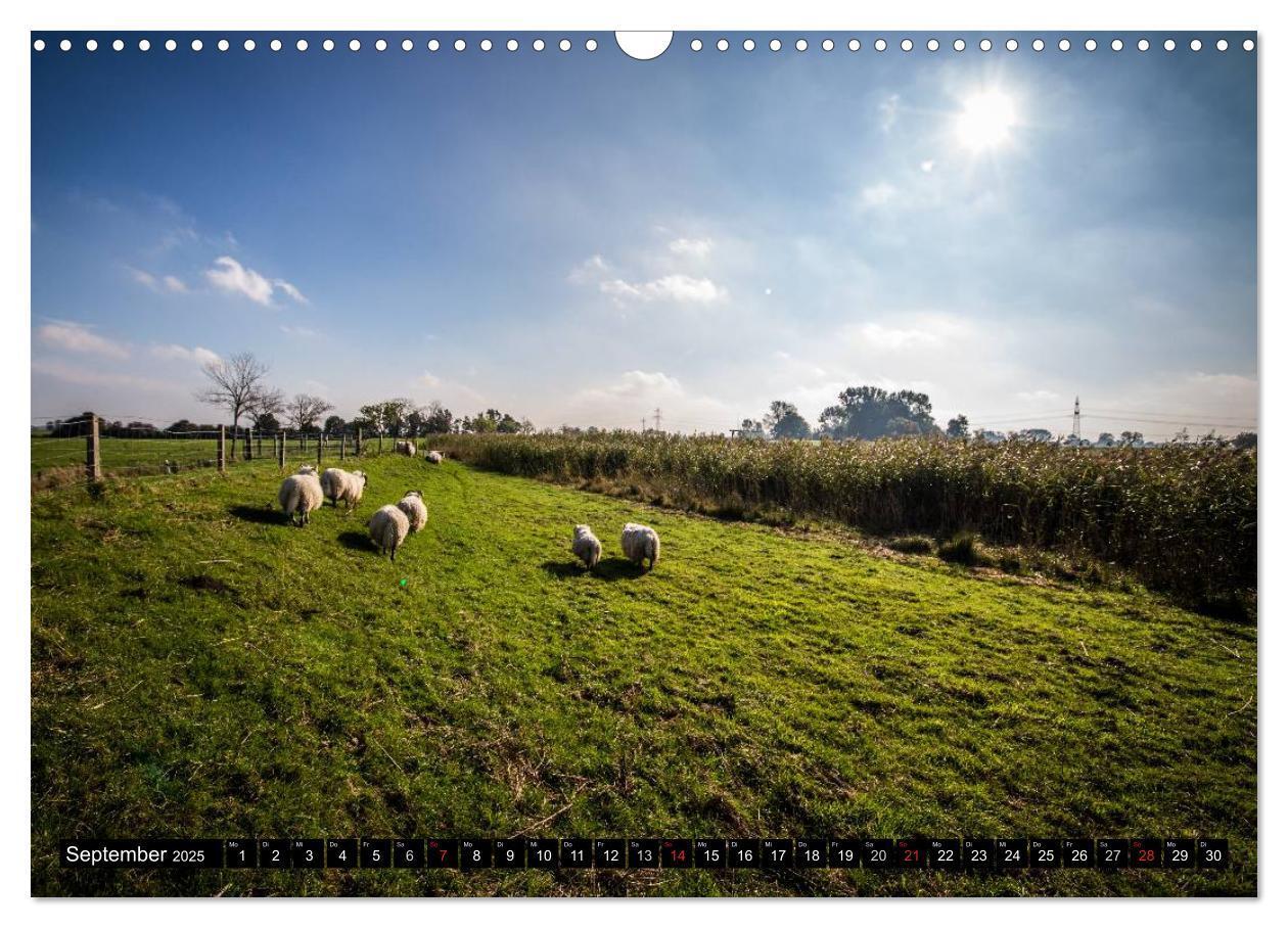 Bild: 9783435730384 | Schönes Ostfriesland (Wandkalender 2025 DIN A3 quer), CALVENDO...