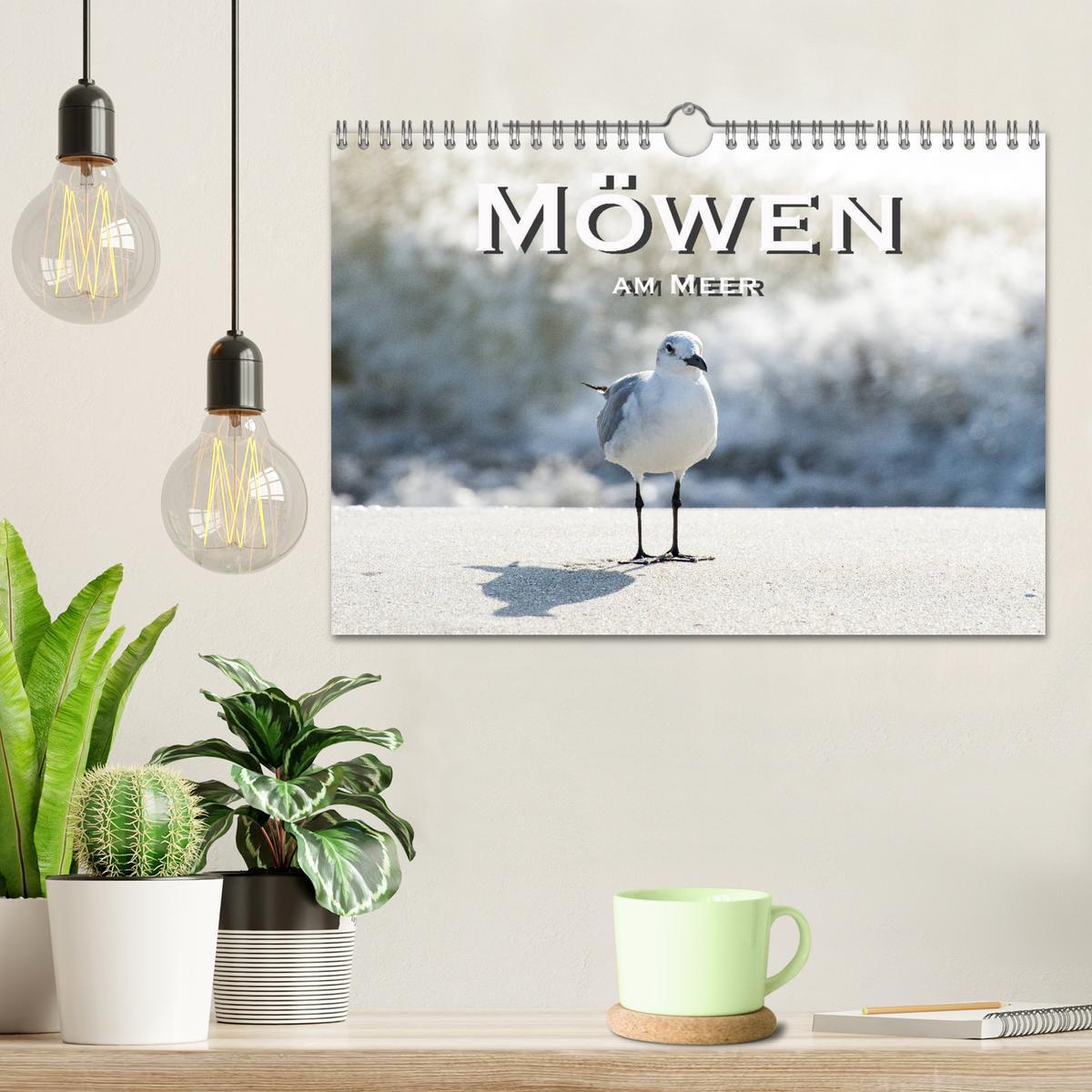 Bild: 9783435376001 | Möwen am Meer (Wandkalender 2025 DIN A4 quer), CALVENDO Monatskalender