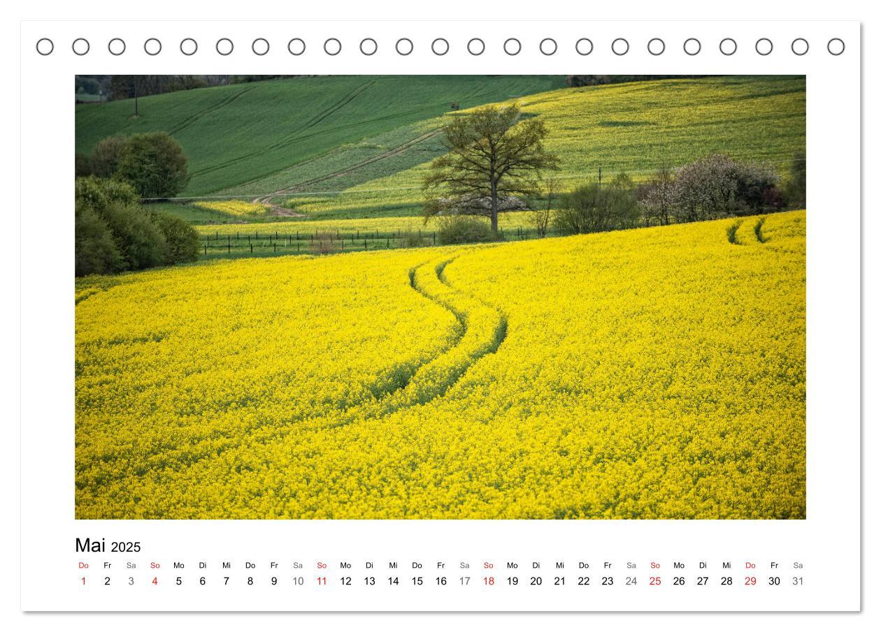 Bild: 9783435154623 | Impressionen aus Ostwestfalen-Lippe (Tischkalender 2025 DIN A5...