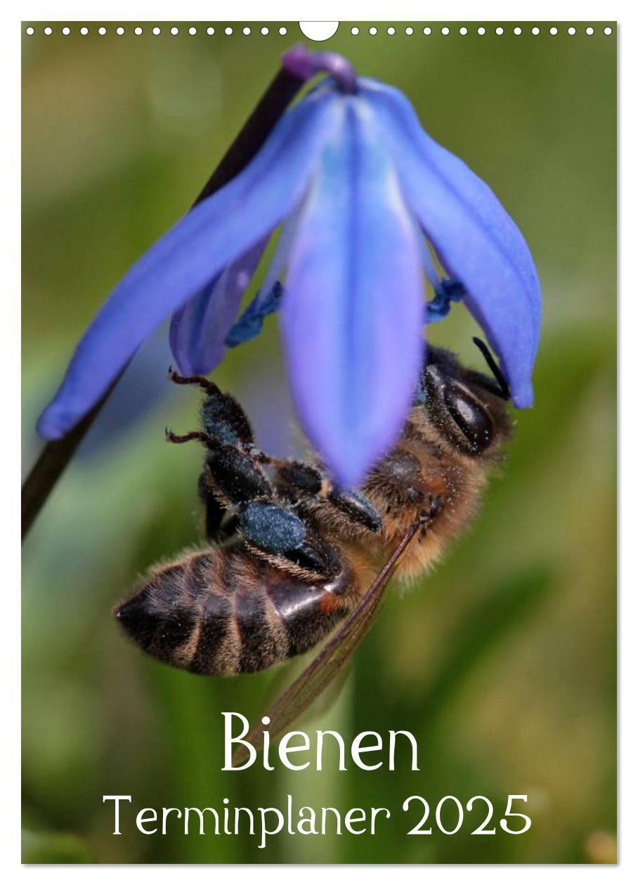 Cover: 9783457030493 | Bienen-Terminplaner 2025 (Wandkalender 2025 DIN A3 hoch), CALVENDO...