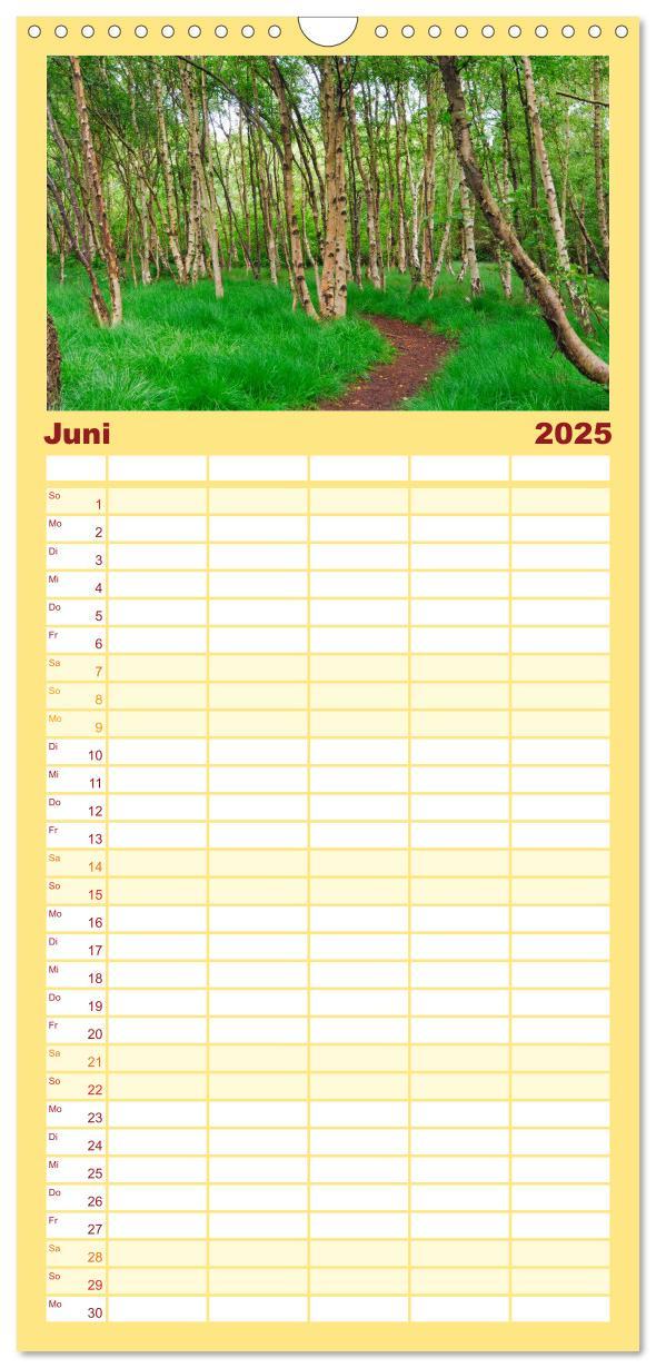 Bild: 9783457118023 | Familienplaner 2025 - Amrum mit 5 Spalten (Wandkalender, 21 x 45...