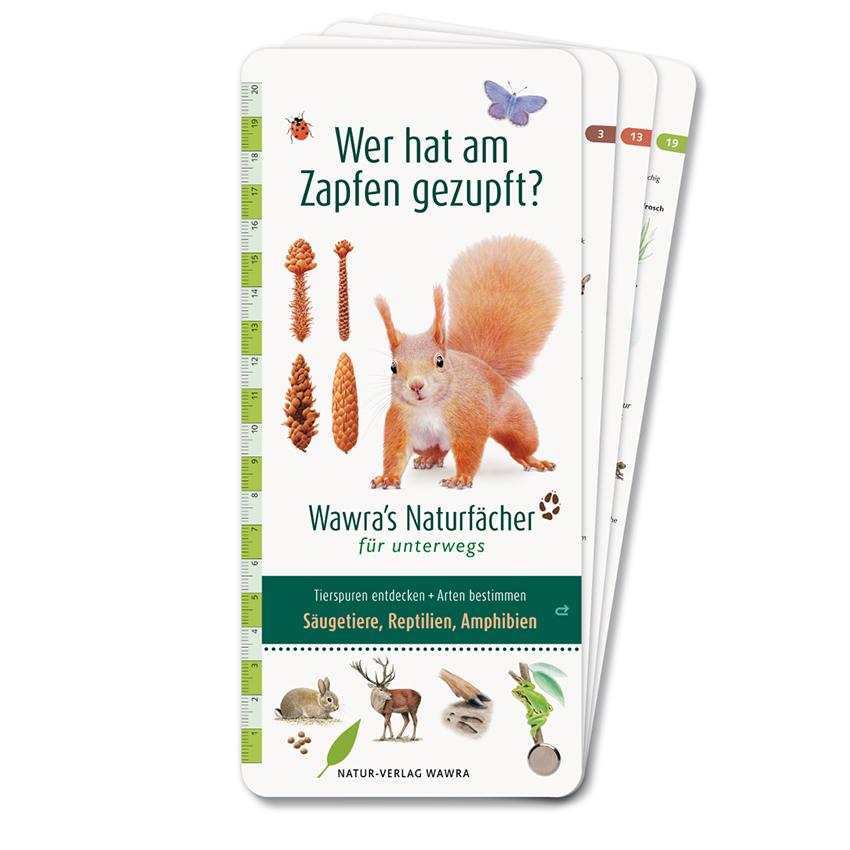 Cover: 9783981548587 | Wer hat am Zapfen gezupft? - Wawra's Naturfächer für unterwegs | Wawra